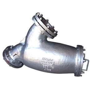 Strainer Valve Manufacturer